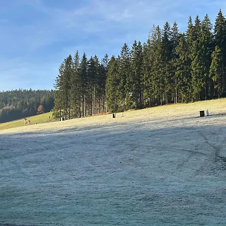 Domek alpejski Harrachovsky Gryf U Sjezdovky Harrachov