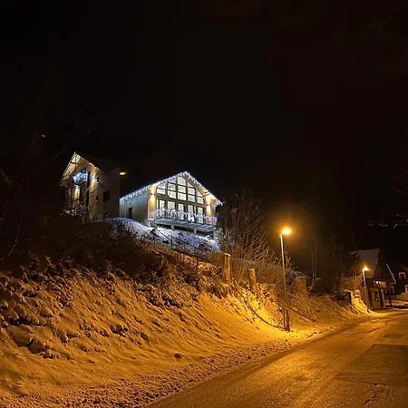 Harrachovsky Gryf U Sjezdovky Domek alpejski *