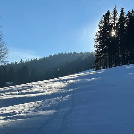 Domek alpejski Harrachovsky Gryf U Sjezdovky *