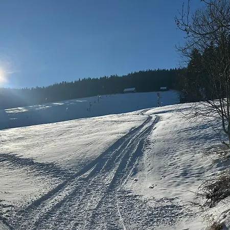 Domek alpejski Harrachovsky Gryf U Sjezdovky *