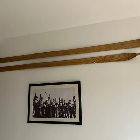 Harrachovsky Gryf U Sjezdovky Dağ evi